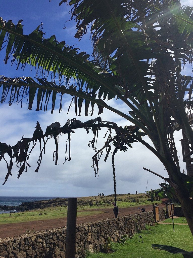 Cabaña Vave frente al mar y con vista a los moai