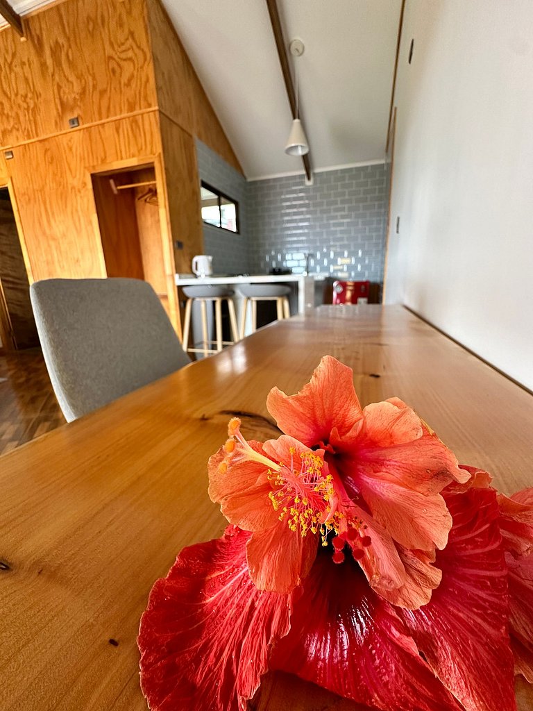 Habitación con cocina y baño privado